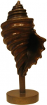 Bronze Whelk - Richard Klyver